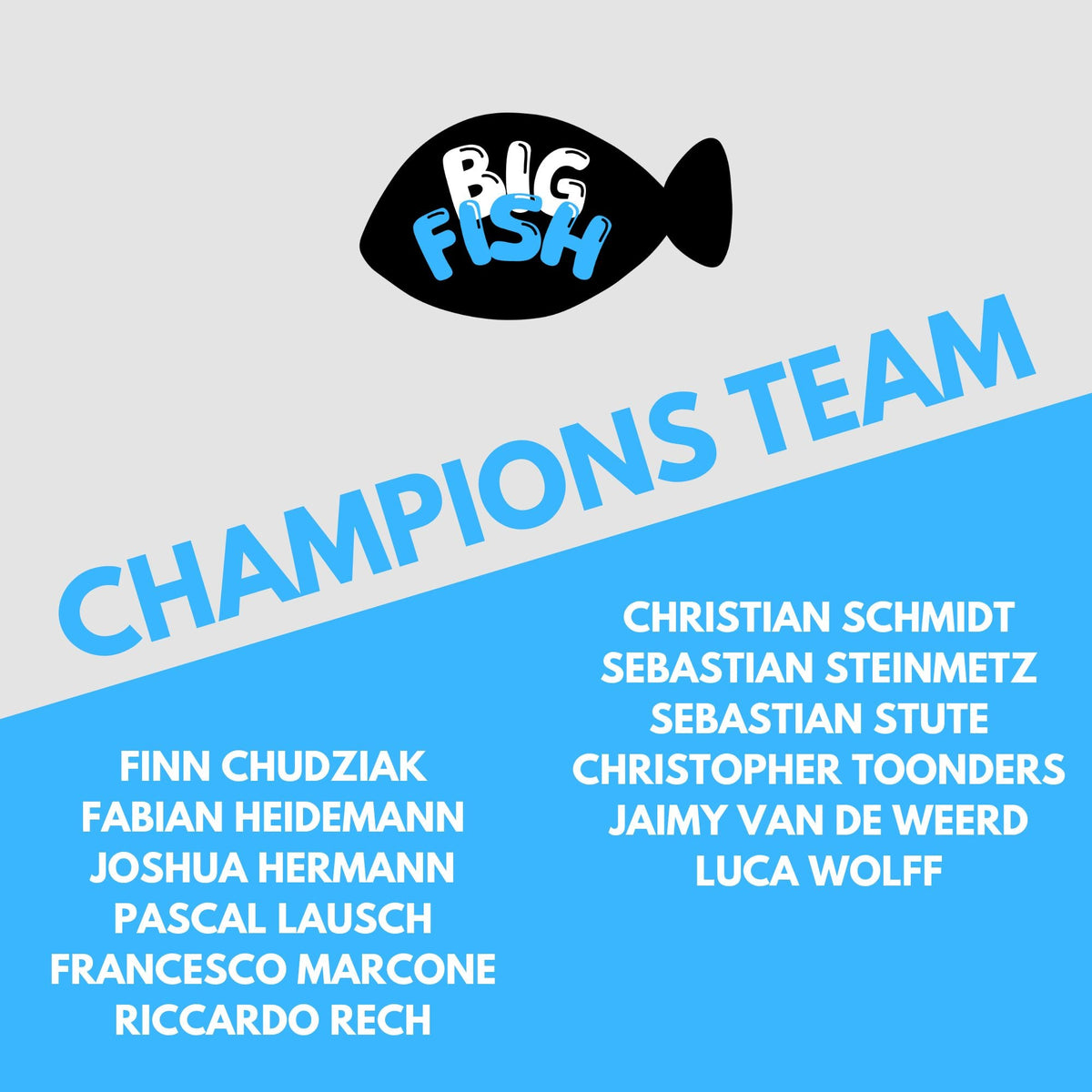 Champions Team
