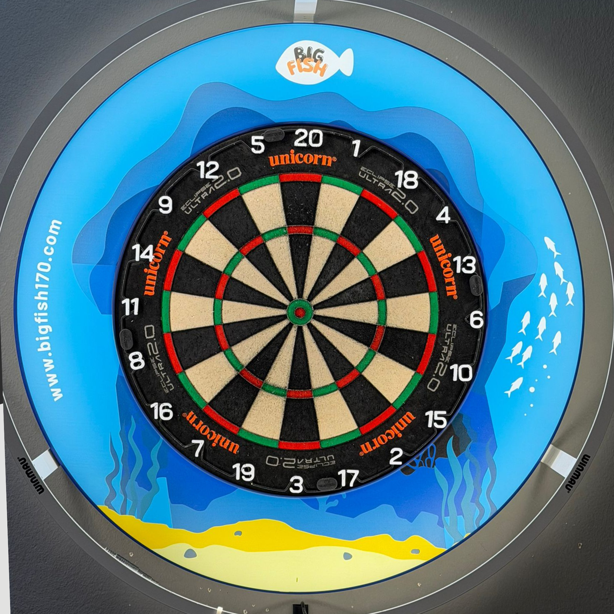 BigFish "Reef Adventure" Surround
