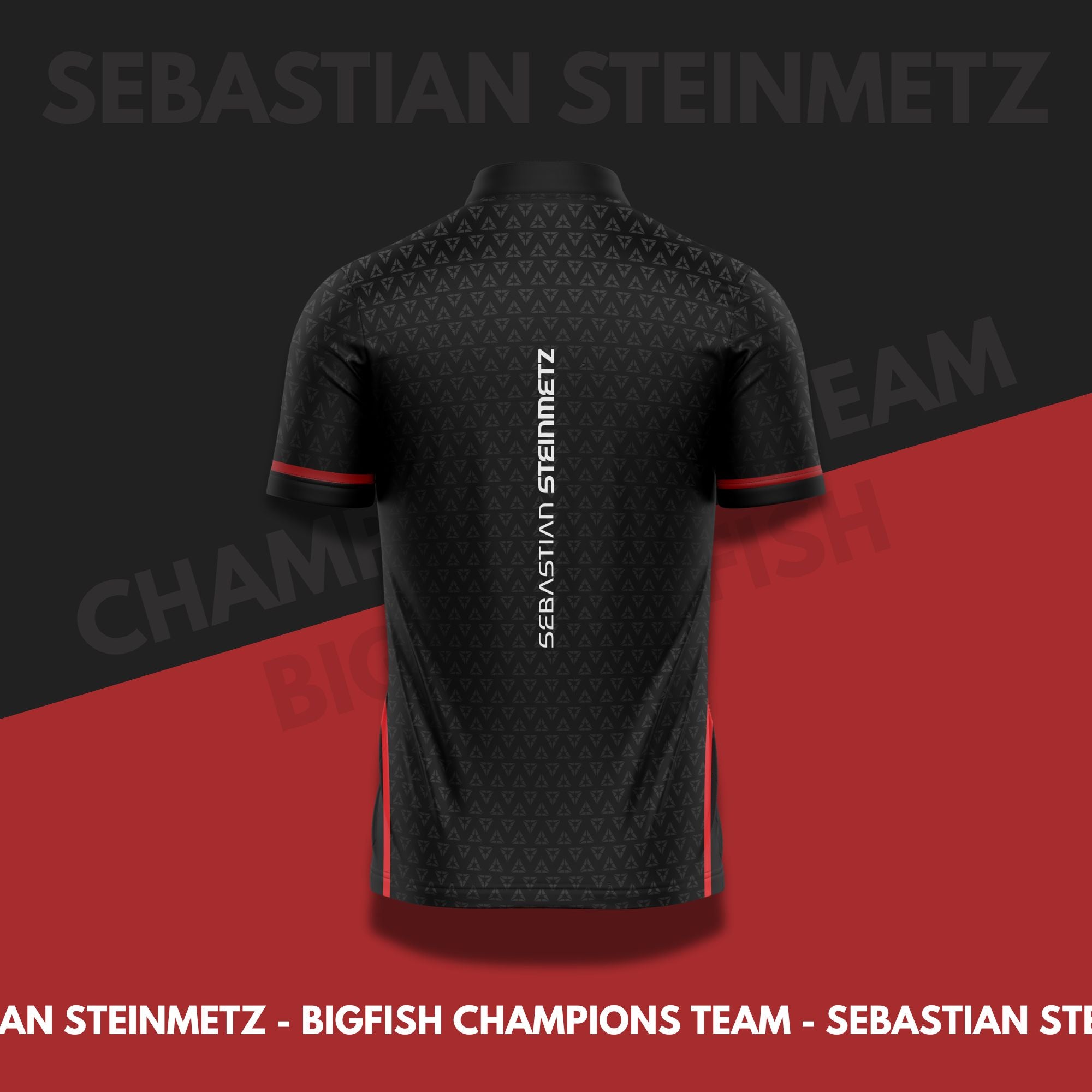 Sebastian Steinmetz v1