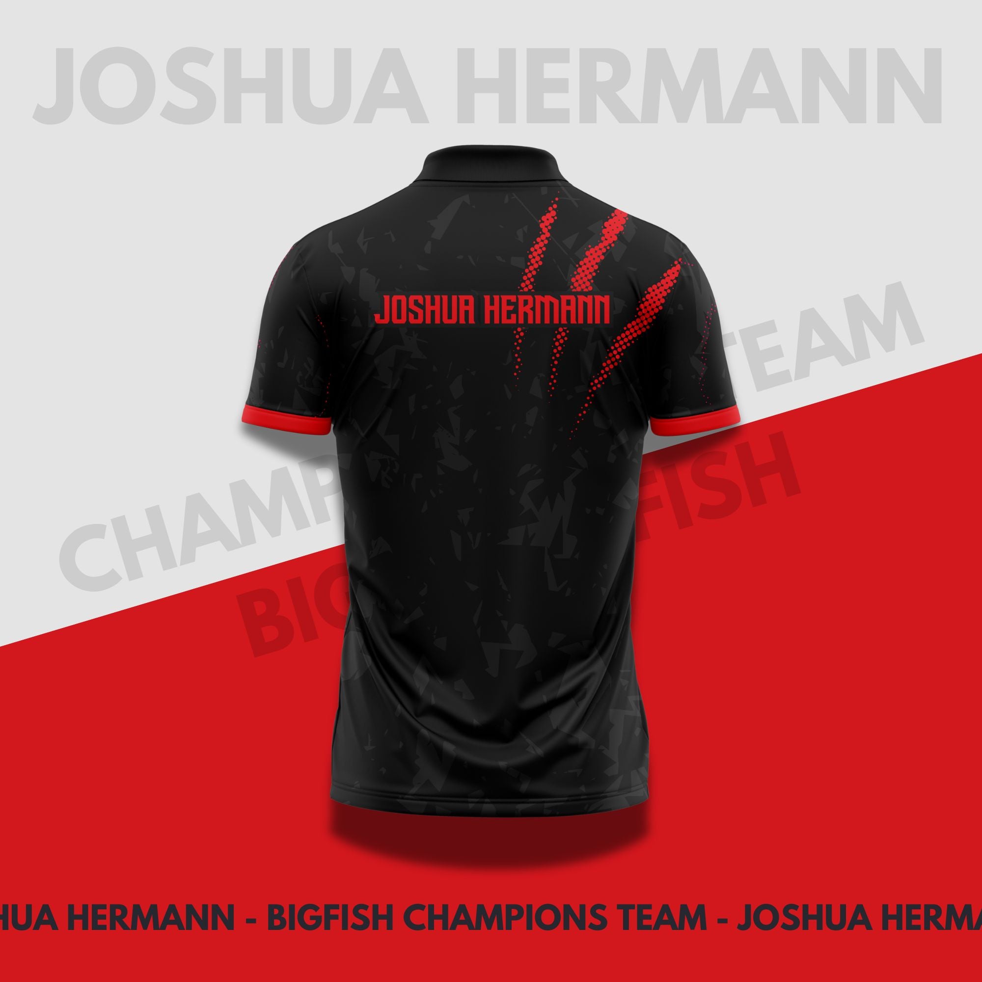 Joshua Hermann v1