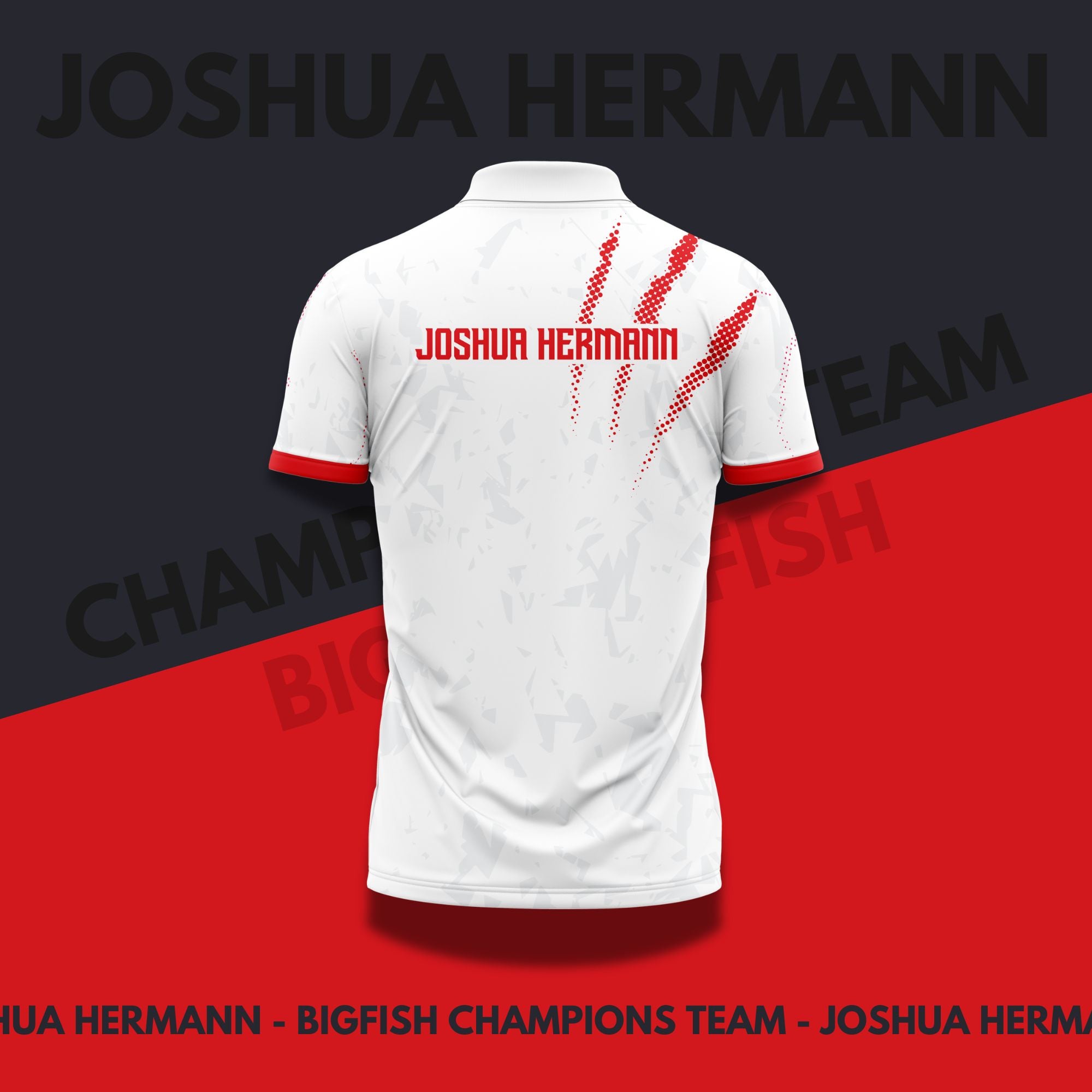 Joshua Hermann v2